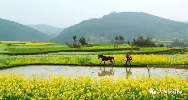 農(nóng)業(yè)農(nóng)村怎樣和旅游結(jié)合,農(nóng)業(yè)農(nóng)村與旅游結(jié)合的實(shí)踐執(zhí)行計(jì)劃，探索田園旅游新路徑,實(shí)踐策略設(shè)計(jì)_粉絲款60.21.64