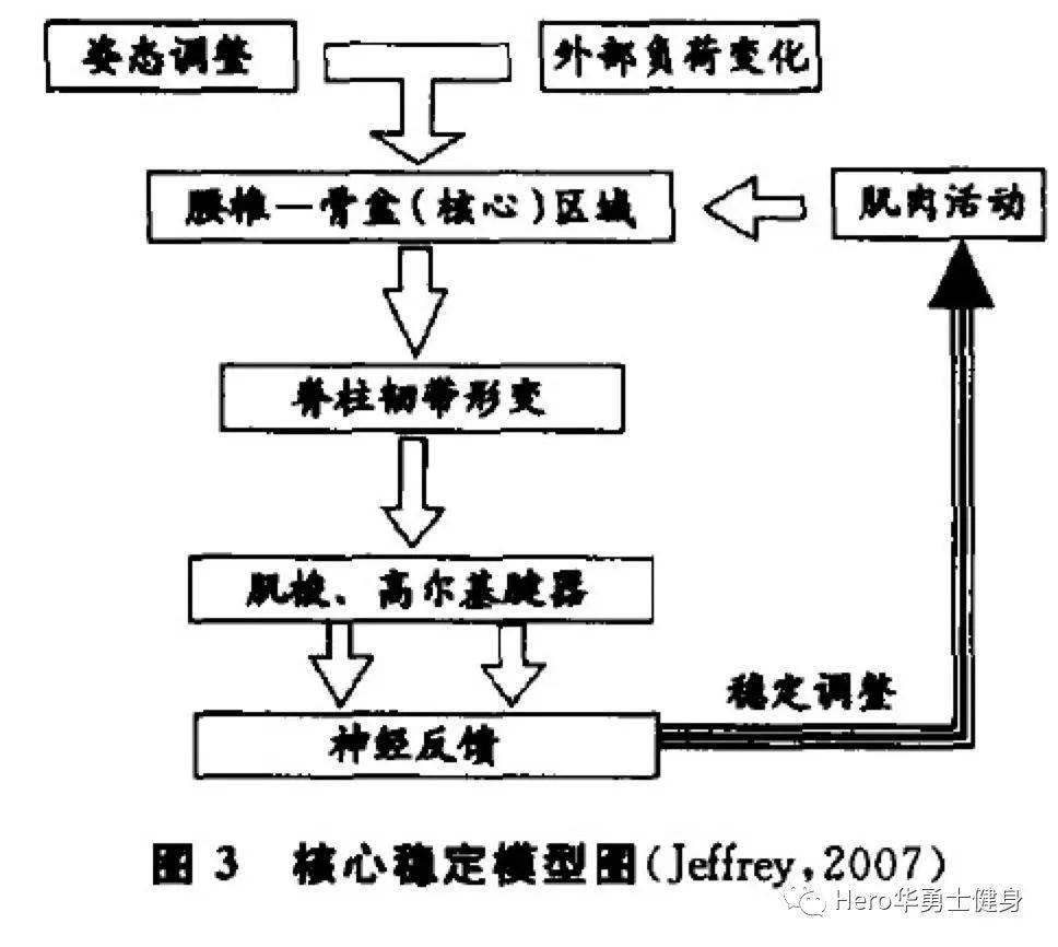 體育與體育科學的區(qū)別和聯(lián)系,體育與體育科學的區(qū)別和聯(lián)系，從定義到實踐經(jīng)驗解析,數(shù)據(jù)解析支持設(shè)計_十三行75.45.13