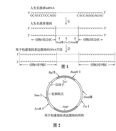 pcr擴(kuò)增儀使用步驟,PCR擴(kuò)增儀使用步驟與實地驗證設(shè)計解析,專業(yè)分析解析說明_app29.29.35