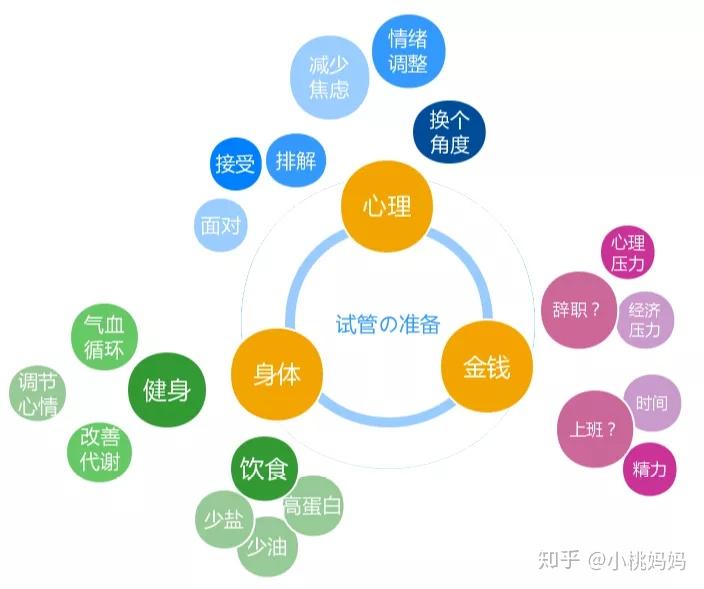 協(xié)和試管嬰兒費用,協(xié)和試管嬰兒費用與安全策略評估，專業(yè)解讀及展望,可持續(xù)執(zhí)行探索_移動版14.58.43