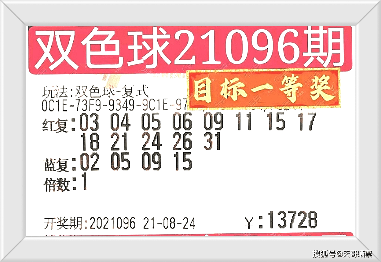 新奧門開獎結果2025香港,新奧門開獎結果2025香港，詮釋、說明與解析——版版67.79.88,實地分析數(shù)據(jù)應用_pack26.17.23