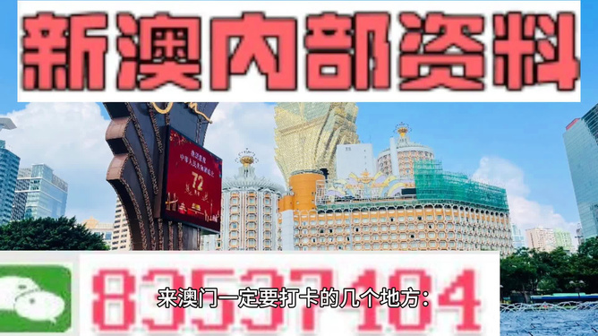 261新澳門內(nèi)幕資料,揭秘澳門內(nèi)幕，精細(xì)解析與創(chuàng)意展望——以澳門為靈感的故事探索,實(shí)地?cái)?shù)據(jù)驗(yàn)證實(shí)施_進(jìn)階版93.23.93