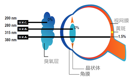 運(yùn)動裝配什么眼鏡,運(yùn)動裝配眼鏡的選擇與靈活操作方案設(shè)計——社交版視角的探索,權(quán)威方法解析_挑戰(zhàn)款57.32.39