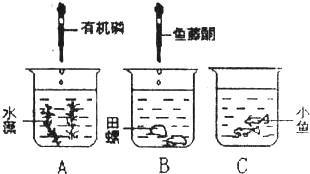 發(fā)熱盤的原理,探究發(fā)熱盤的原理及其在數(shù)據(jù)導向計劃設計中的應用——特供款34.87.70,安全策略評估_微型版30.11.25