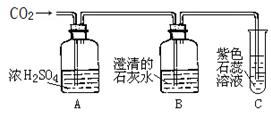 小念 第14頁