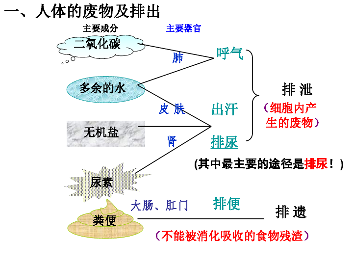 化工廢料對人體的傷害,化工廢料對人體的傷害，實時解析說明,完整的執(zhí)行系統(tǒng)評估_版畫38.50.27