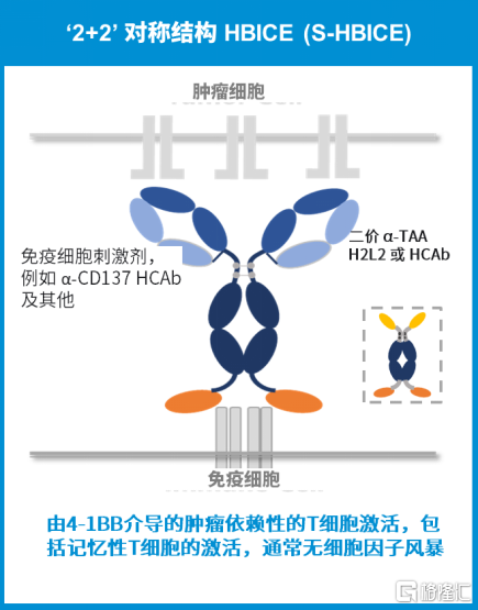 新澳2025今晚開獎(jiǎng)資料,新澳2025未來開獎(jiǎng)數(shù)據(jù)分析與精選解析手冊(cè),創(chuàng)新解析執(zhí)行_HarmonyOS46.48.91