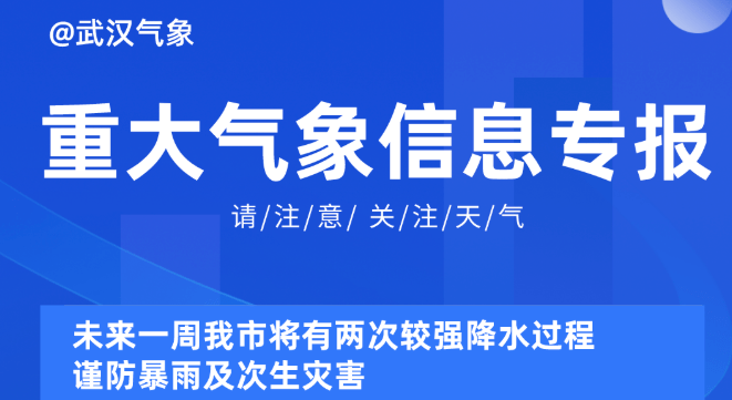 新澳精準(zhǔn)資料免費(fèi)提供630期2025,新澳精準(zhǔn)資料免費(fèi)提供，深度分析與數(shù)據(jù)挖掘之旅的第630期展望（頭版，36.19.20）到2025年,深度應(yīng)用數(shù)據(jù)策略_錢包版76.37.76