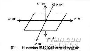 滌綸與測溫度機器人的區(qū)別,滌綸與測溫度機器人，技術(shù)差異與實地策略驗證計劃,全面實施數(shù)據(jù)策略_GM版26.95.71