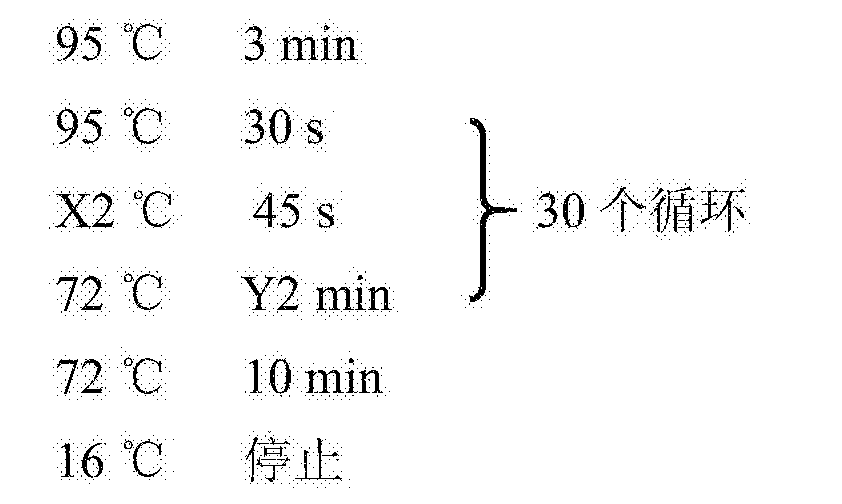 縮聚產(chǎn)物的書寫要求,縮聚產(chǎn)物的書寫要求與適用實施策略，PalmOS 22.65.74環(huán)境下的探討,深層執(zhí)行數(shù)據(jù)策略_T83.45.41