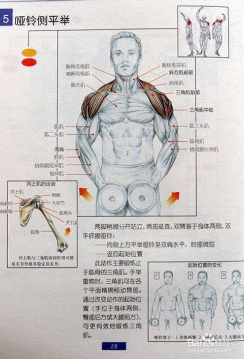 平舉啞鈴重量,UHD版平舉啞鈴重量與數(shù)據(jù)引導(dǎo)策略解析——19.23.60,深層數(shù)據(jù)執(zhí)行設(shè)計(jì)_旗艦版54.68.75