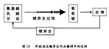 珠光粉怎么調(diào),珠光粉的調(diào)制方法，詳細(xì)操作步驟指導(dǎo),系統(tǒng)化策略探討_復(fù)古款60.37.19