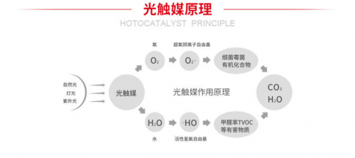 光觸媒噴墻上會(huì)脫落嗎,光觸媒在墻上的應(yīng)用，是否會(huì)脫落？定義與定量解答解釋,互動(dòng)策略解析_Premium44.76.94