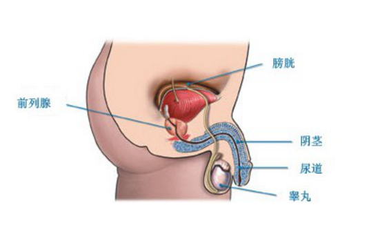 前列腺炎費(fèi)用多少,前列腺炎費(fèi)用多少？系統(tǒng)研究解釋定義及專業(yè)分析,最新分析解釋定義_Device82.50.63