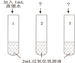 熱熔膠與色譜襯管污染的關(guān)系,熱熔膠與色譜襯管污染的關(guān)系，探究與迅速解答問題,快速方案執(zhí)行指南_Harmony款25.99.96