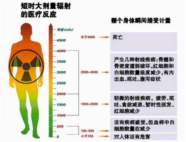 鉛衣是啥,鉛衣是什么？全面解析數(shù)據(jù)設(shè)計(jì)背后的故事,實(shí)地考察數(shù)據(jù)設(shè)計(jì)_set47.77.43