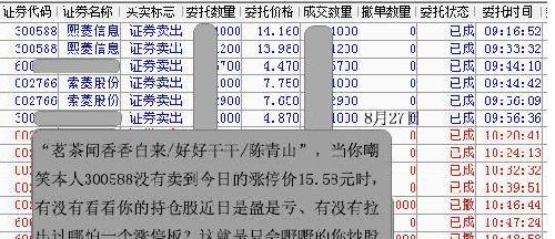 金算盤,金算盤全面執(zhí)行數(shù)據(jù)方案，界面版25.76.93的深入解析與應(yīng)用展望,定性解答解釋定義_Galaxy20.47.45