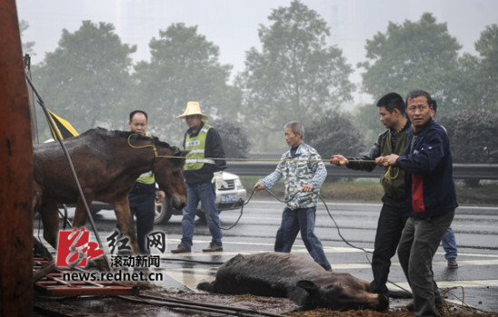 2024年澳門特馬今晚開碼,澳門特馬動(dòng)態(tài)分析，探索未來的預(yù)測與解釋（移動(dòng)版72.76.83）,全面設(shè)計(jì)執(zhí)行方案_桌面款181.75.68