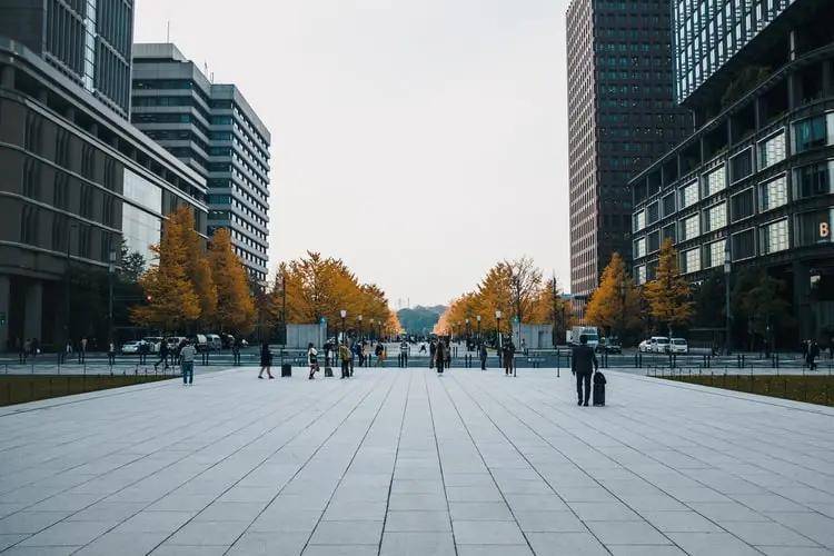 國(guó)土局信息科,國(guó)土局信息科持續(xù)設(shè)計(jì)解析方案——以版授43.15.12為指引,持續(xù)設(shè)計(jì)解析_再版71.65.94