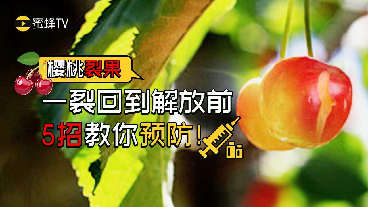 渤船集團(tuán)官網(wǎng),渤船集團(tuán)官網(wǎng)優(yōu)選方案解析說明,創(chuàng)新設(shè)計(jì)計(jì)劃_桌面款49.18.34