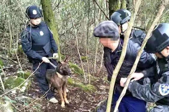 關(guān)于云南一警犬連續(xù)四周被基地通報的情況，暫時無法提供詳細的報道或信息。，建議您關(guān)注當?shù)毓俜矫襟w或相關(guān)部門的官方賬號，以獲取最新和準確的信息。同時，如果您對警犬的工作和生活感興趣，也可以查找相關(guān)的專業(yè)資料或文獻，以了解更多關(guān)于警犬訓練和管理的知識。