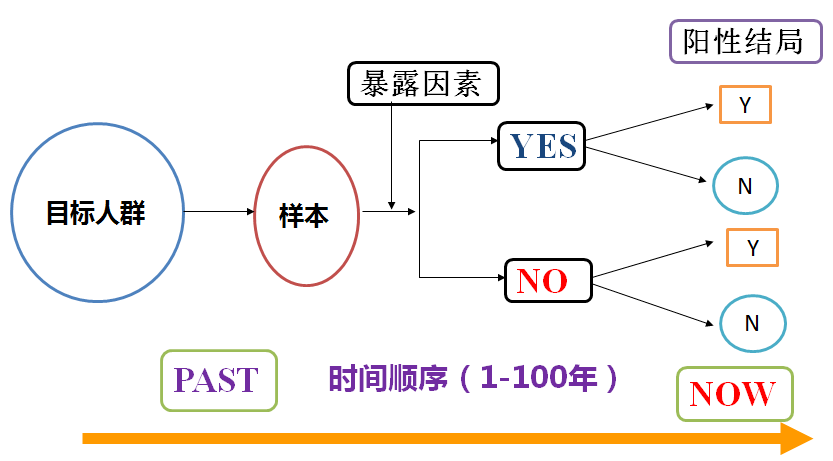 2025年新奧門天天開彩免費資料