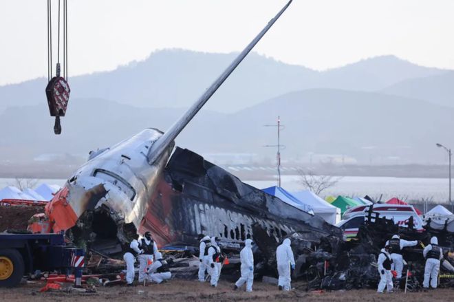 韓國空難客機引擎上發(fā)現羽毛