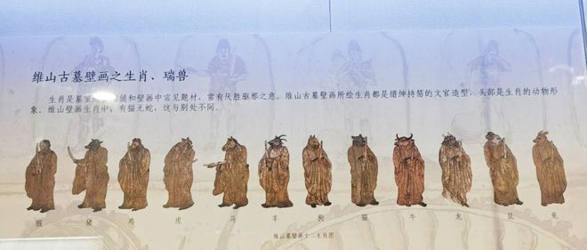 古代十二生肖壁畫有貓無蛇？專家回應(yīng)