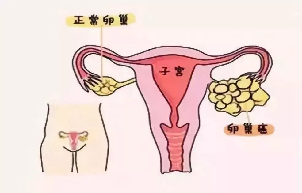 2025年2月2日 第12頁