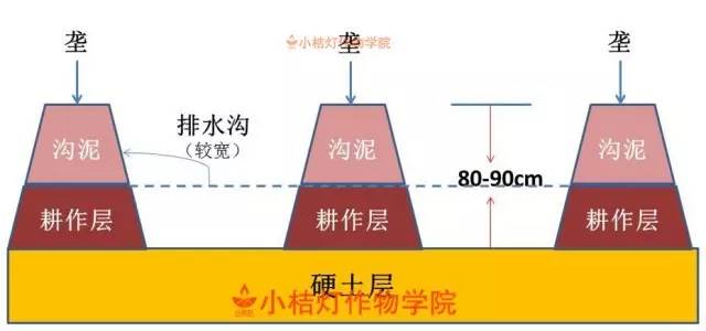 南京北站挖到古墓被停工？官方辟謠,穩(wěn)定性策略解析_P版85.81.59