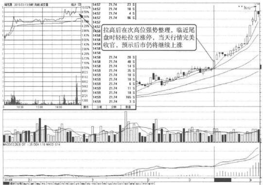 天大地大平特一尾平特一尾,全面解讀說明_進階款64.25.55