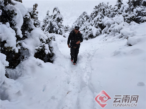 港澳馬會彩經(jīng)四碼,煙臺突降鵝毛大雪