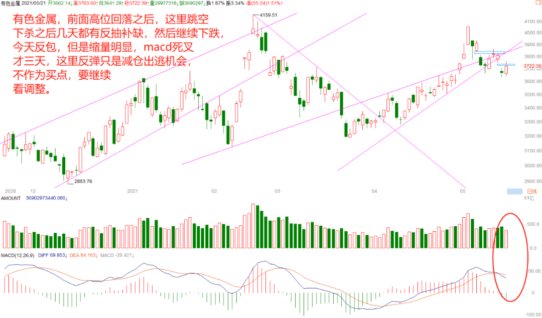 2025新澳門免費開獎結(jié)果查詢,看完唐探1900在美國市政廳蹦迪