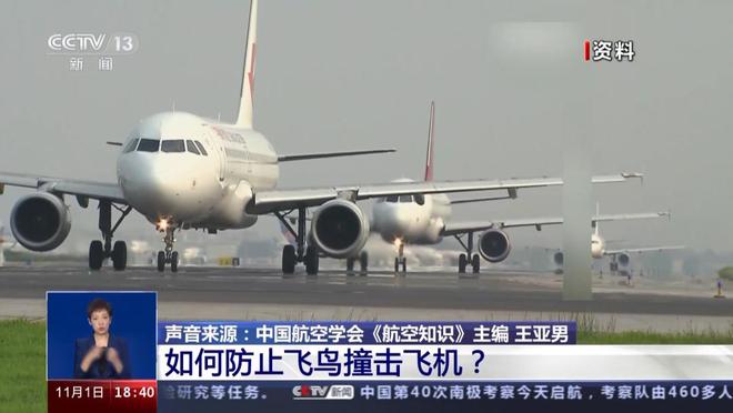 2025年新澳門彩開獎結(jié)果,韓客機失事當(dāng)天只有2人從事防鳥活動