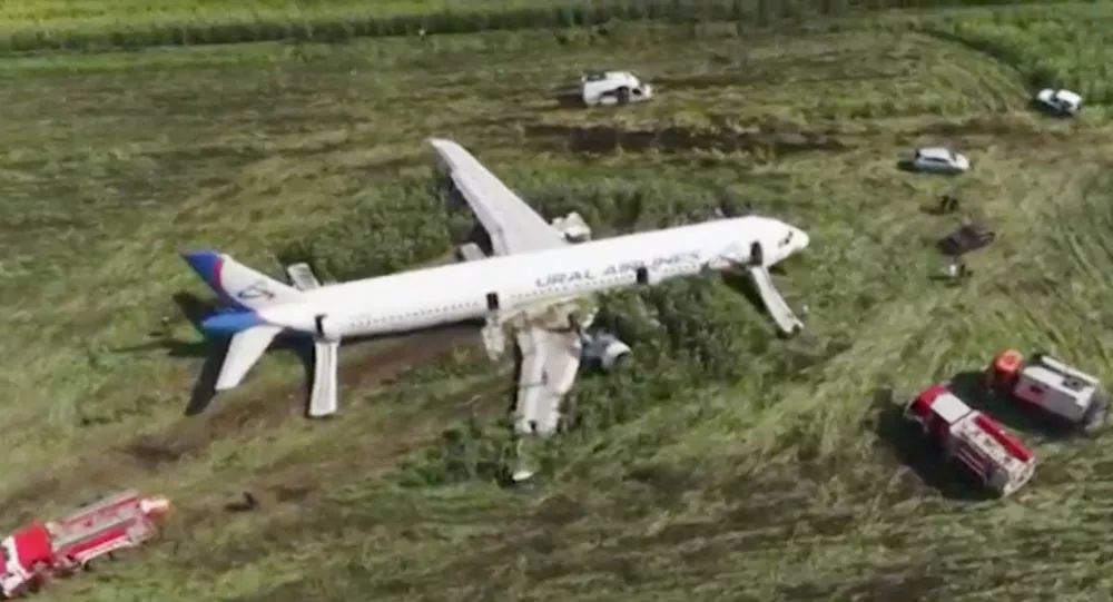 新澳特開獎記錄今天八百圖庫,韓方首次確認(rèn)失事客機遭遇鳥擊