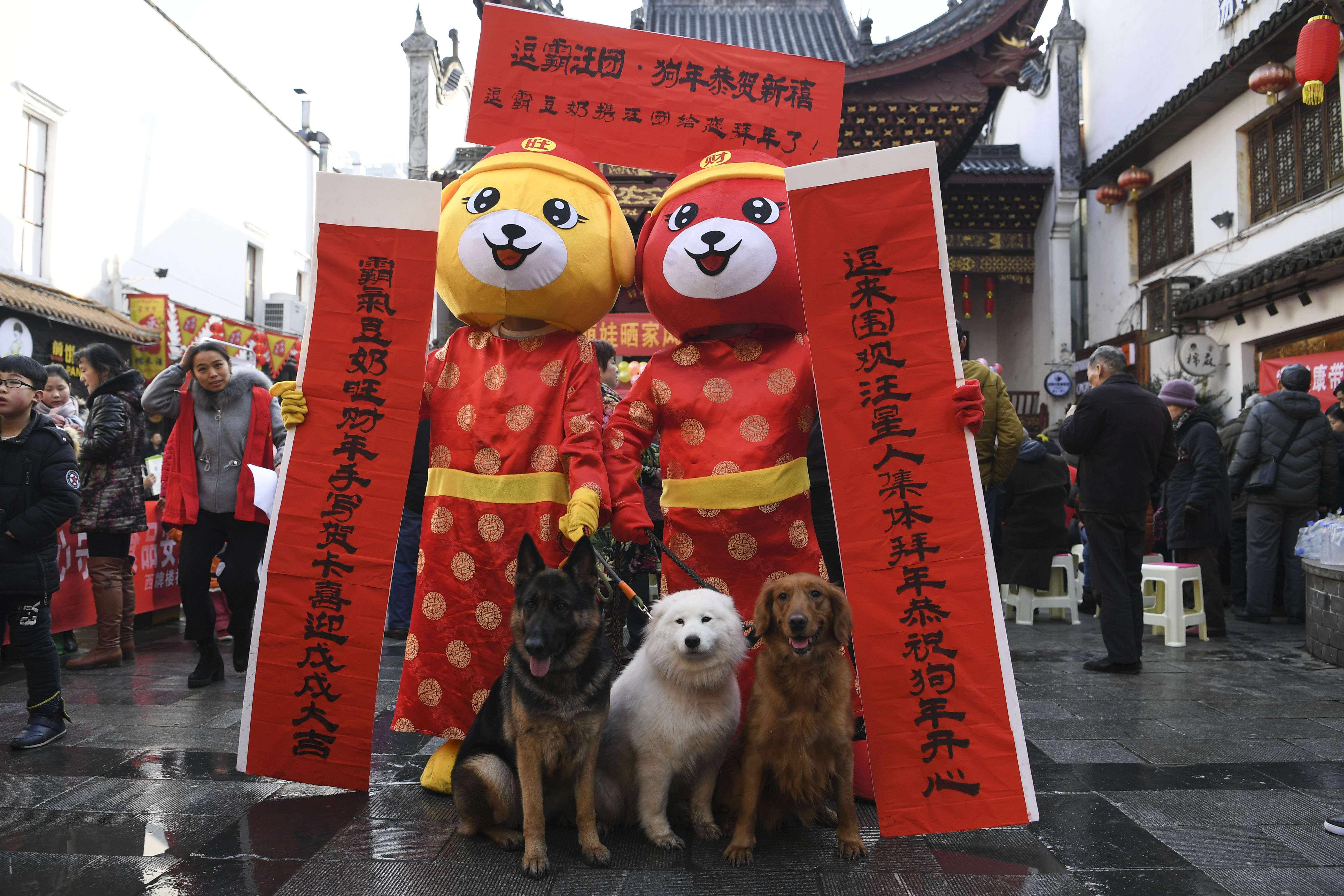 2025年3月19日 第8頁